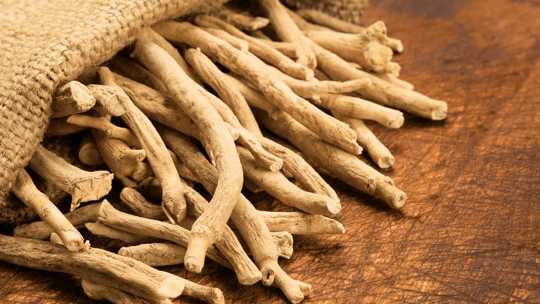 Ashwagandha Nedir? Faydaları, Kullanımı ve Bilmeniz Gereken Her Şey - ya da multicosmetics