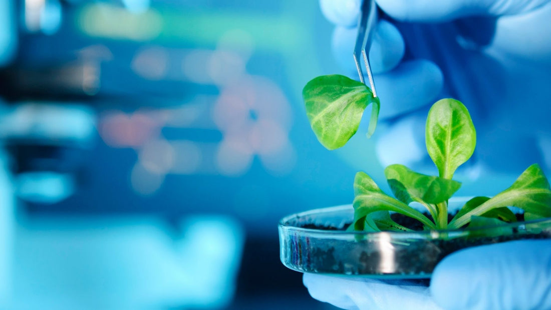 İklim Değişikliğinin Sürdürülebilir Üretim ve Tüketim Üzerindeki Etkileri - ya da multicosmetics