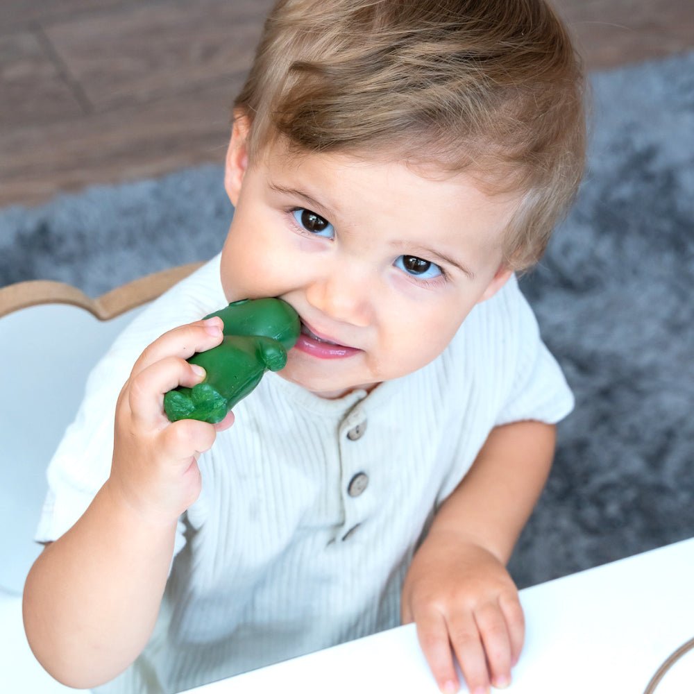 Hubble Froggle Diş Kaşıyıcı Kauçuk Oyuncak Ecz