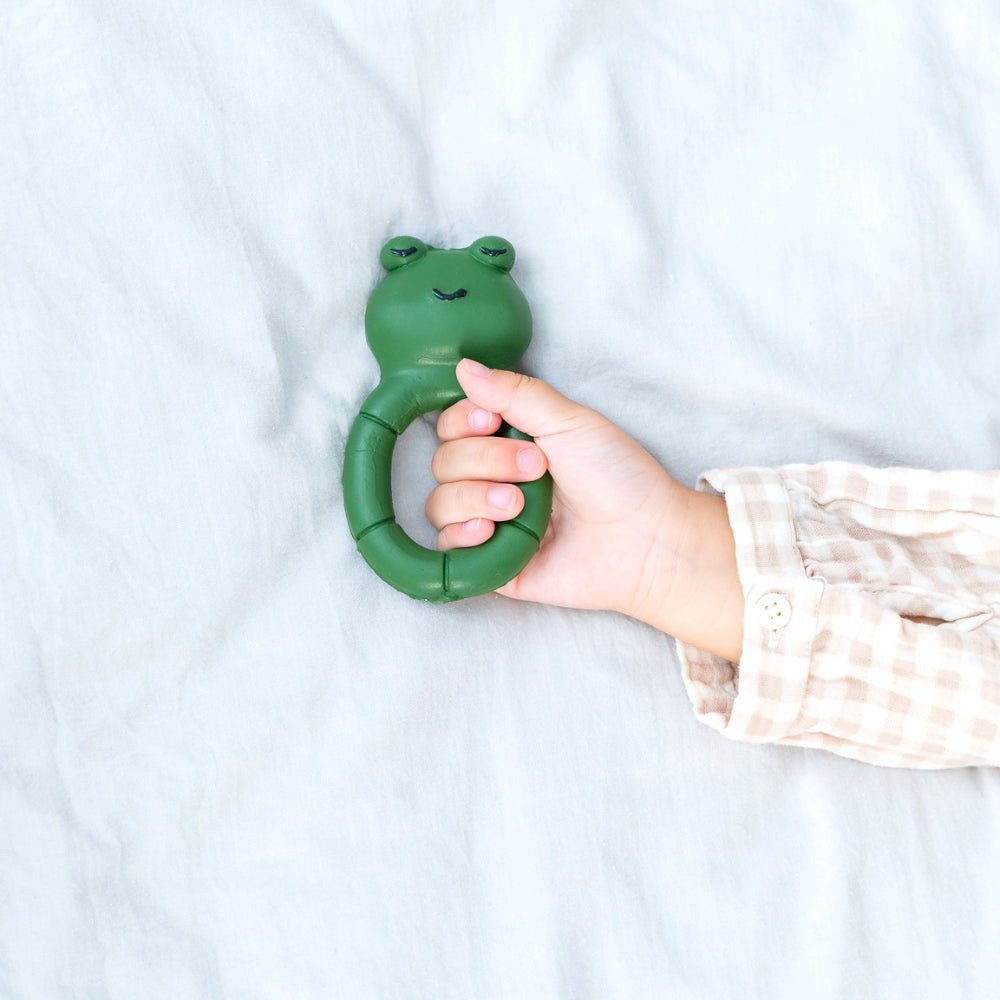 Hubble Frogglering Diş Kaşıyıcı Kauçuk Oyuncak Ecz