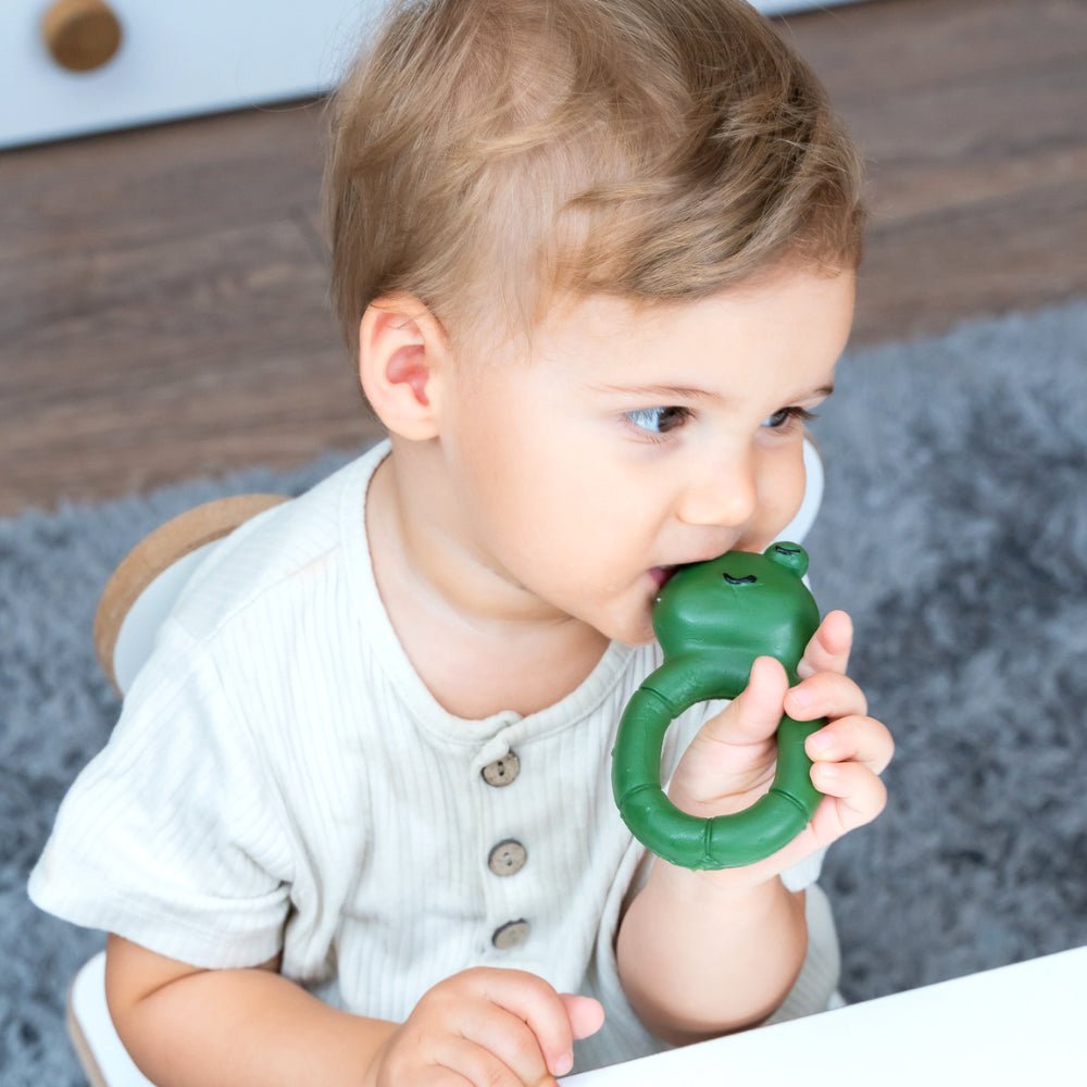 Hubble Frogglering Diş Kaşıyıcı Kauçuk Oyuncak Ecz