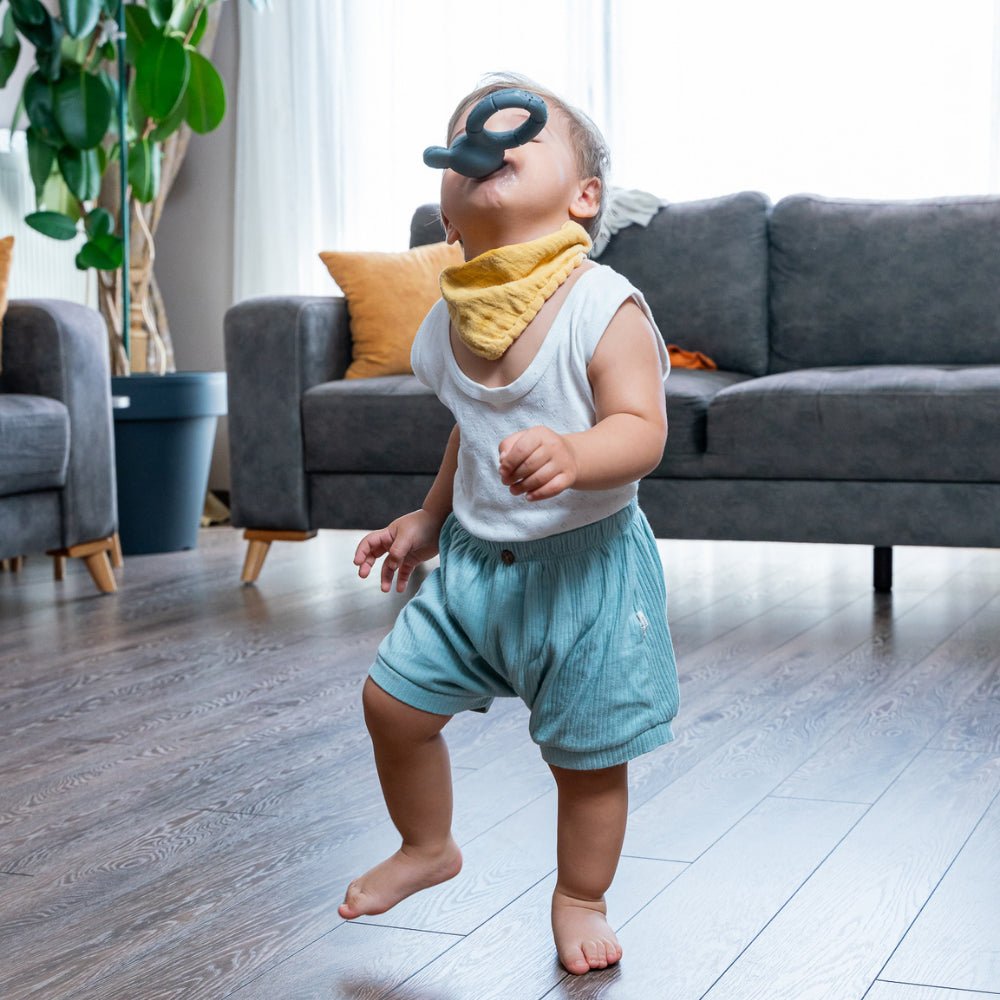 Hubble Koalubblering Diş Kaşıyıcı Kauçuk Oyuncak Ecz