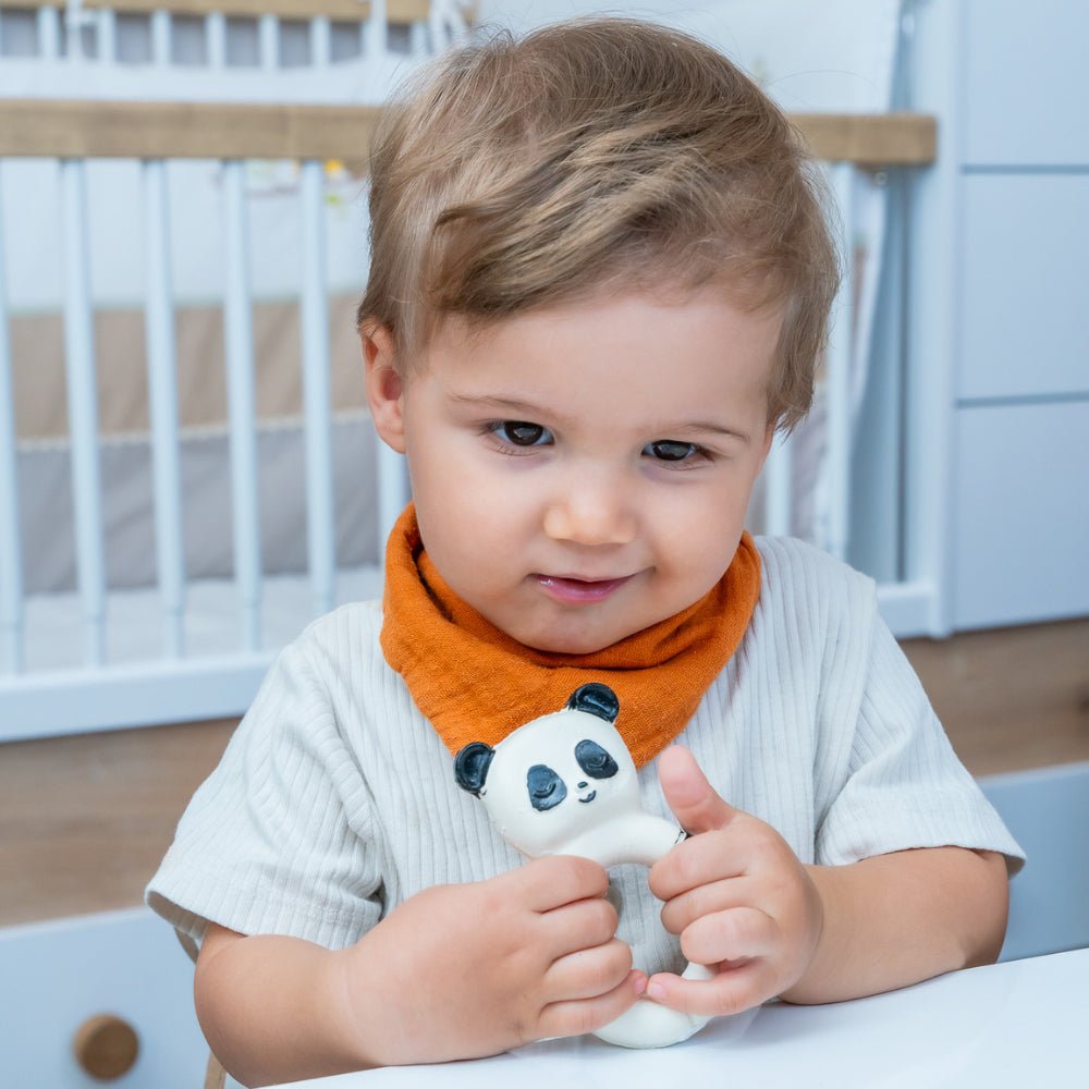 Hubble Pandubblering Diş Kaşıyıcı Kauçuk Oyuncak Ecz