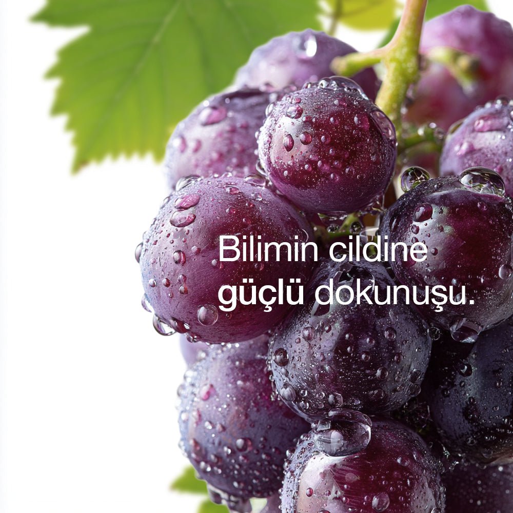 Viniferine Yenileyici ve Detoks Etkili Gece Bakım Yağı Ecz