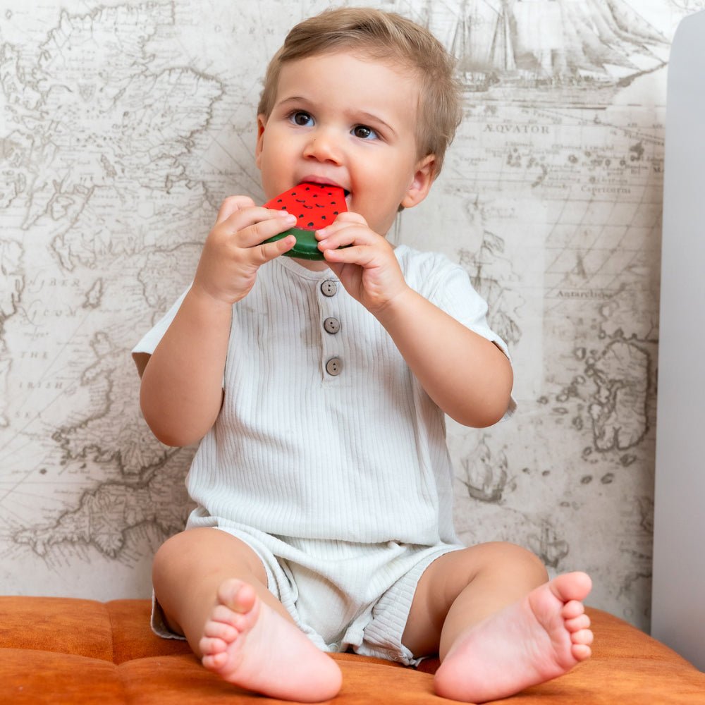 Hubble Wubblemelon Diş Kaşıyıcı Kauçuk Oyuncak Ecz