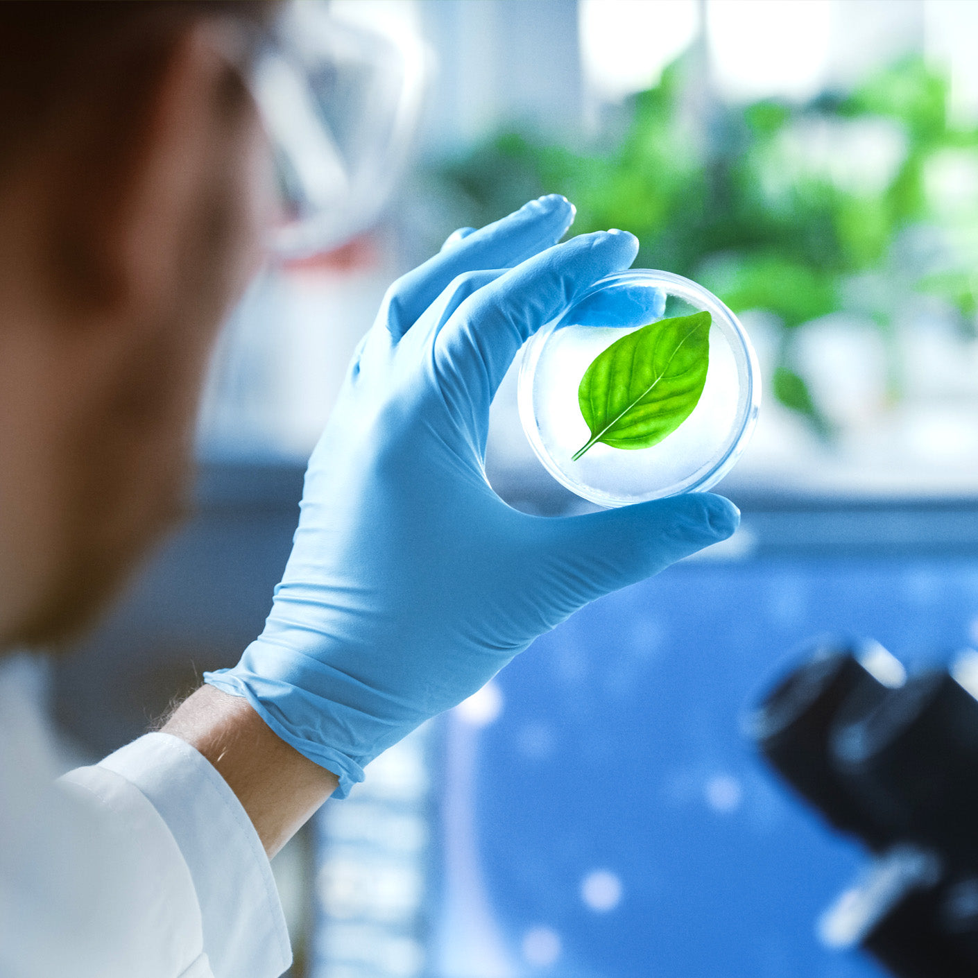 ya da multicosmetics