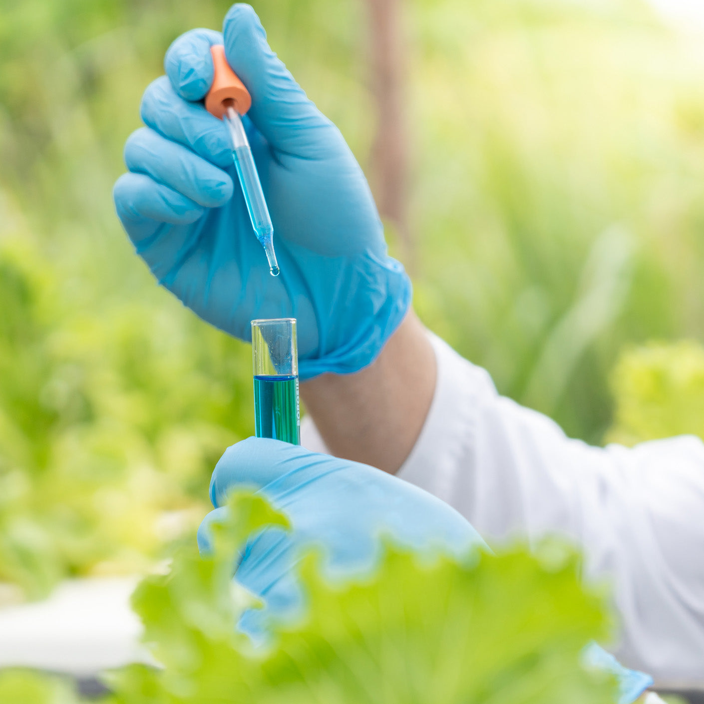 ya da multicosmetics