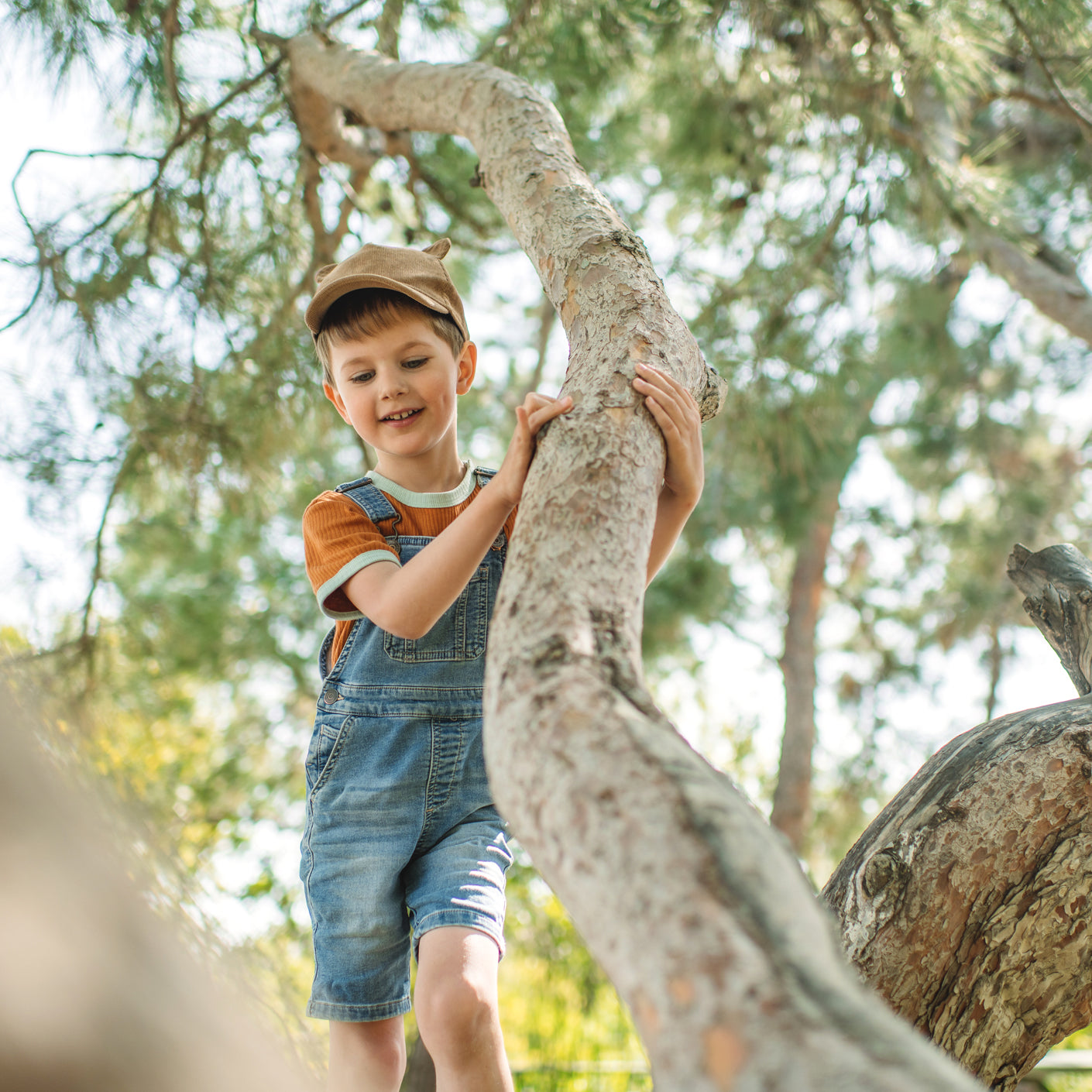 ya da multicosmetics