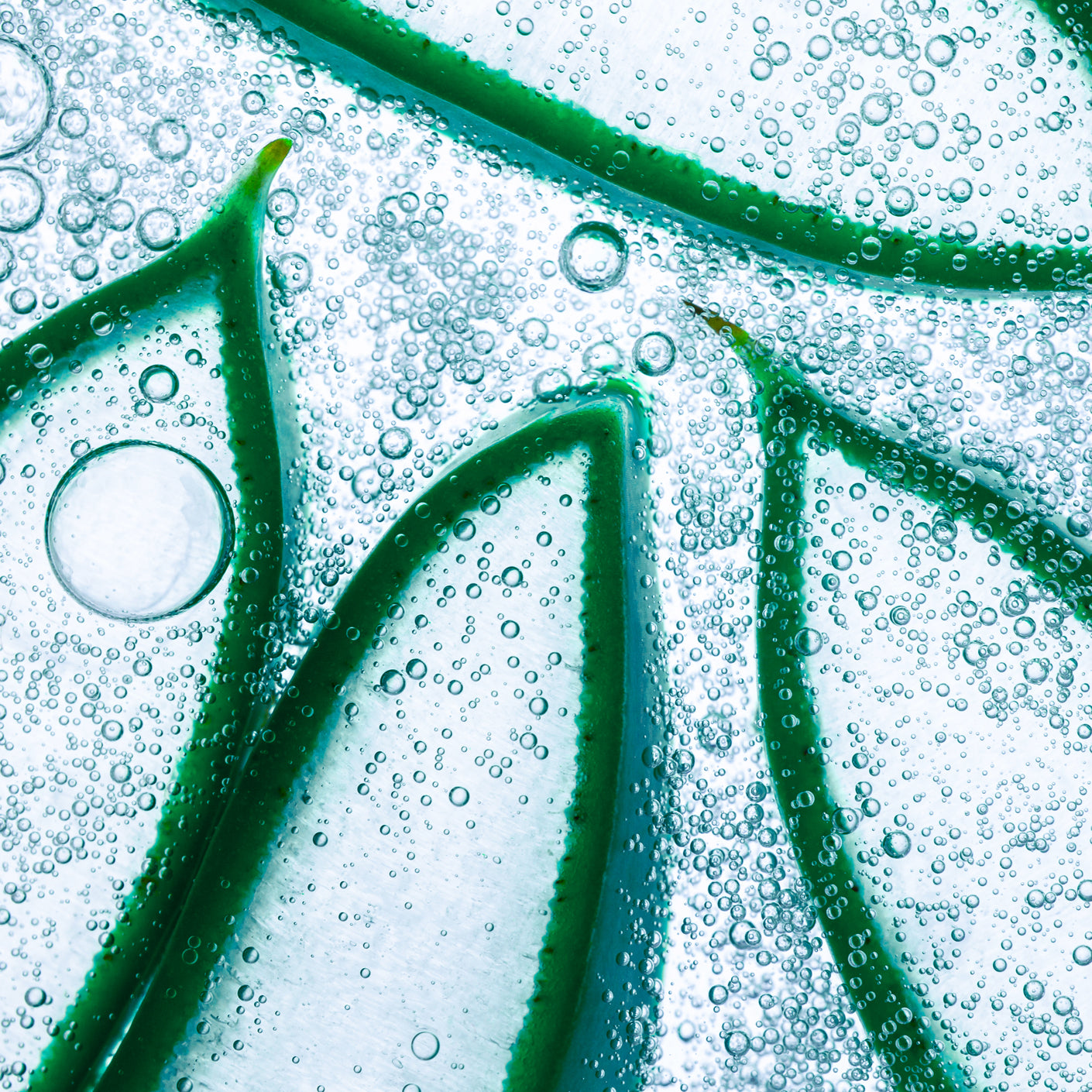 ya da multicosmetics