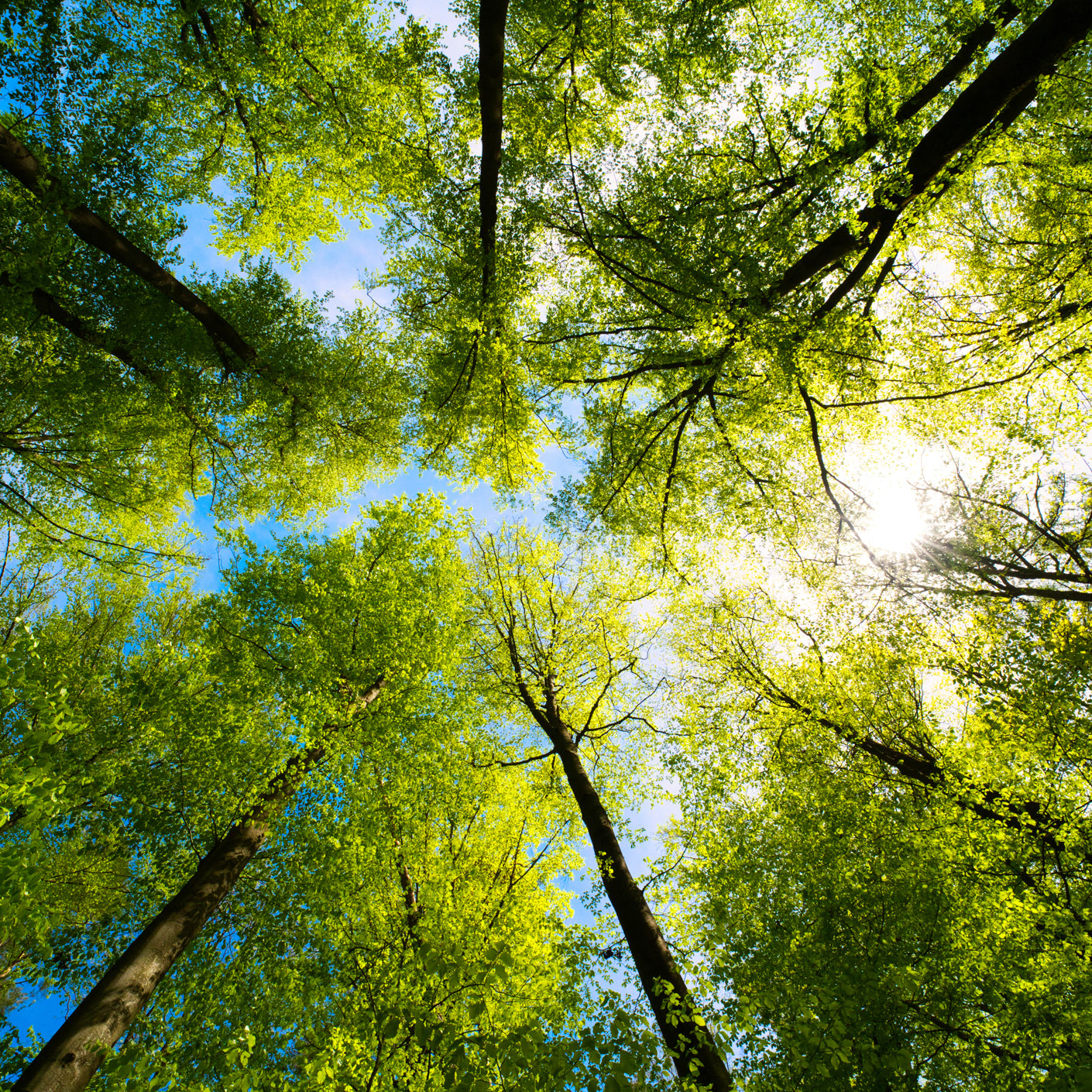 ya da multicosmetics