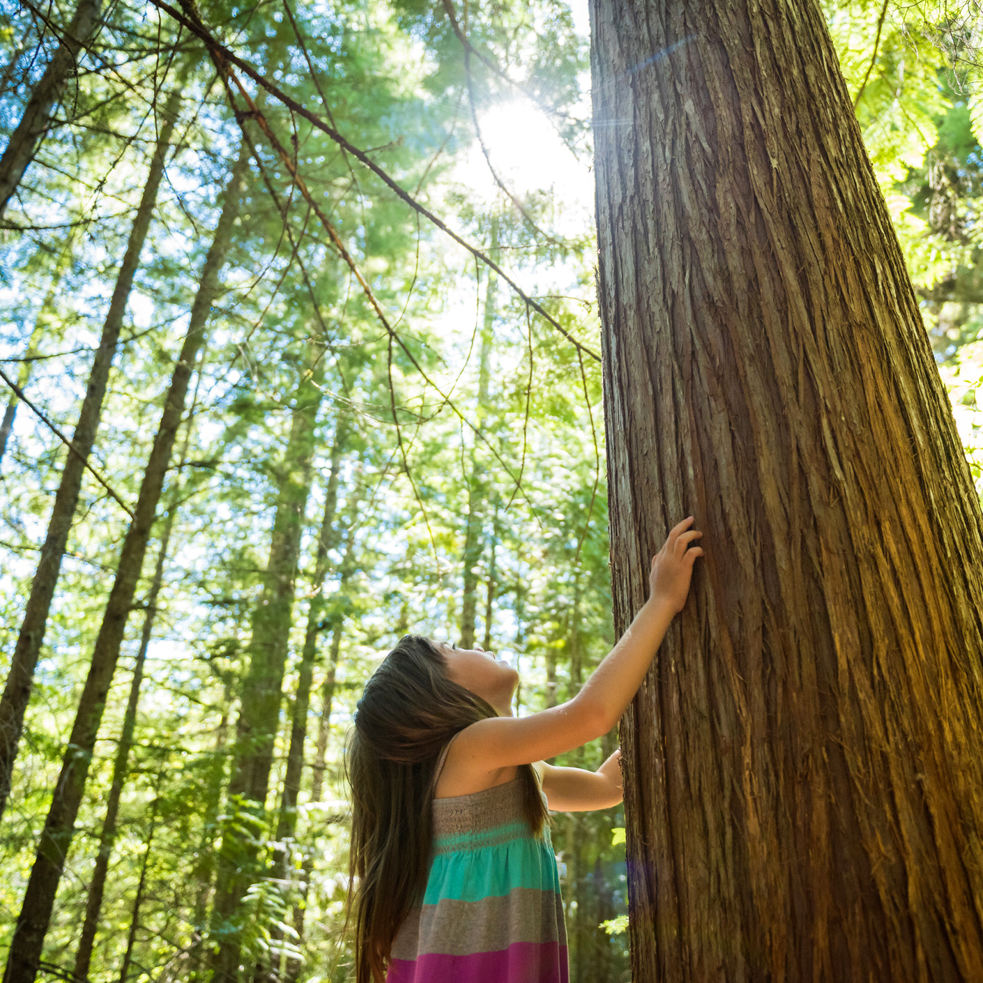 ya da multicosmetics